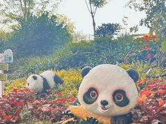 -西安电影制片厂