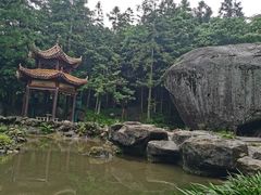-大围山国家森林公园