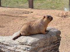 -茅山东方盐湖城景区