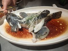 老虎斑-阿拉斯加·海货(马王堆店)