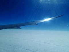 -全日本空输株式会社(上海办事处)