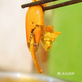 📣行运打边炉 | 让你眼前一亮的沉浸式餐厅