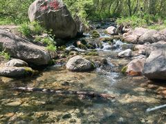 -玉渡山自然风景区