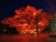 -嘉峪关方特丝路神画