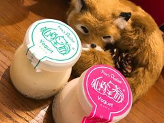 -狐狸家·酸奶酪专门店(平江路店)