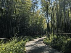 -采石矶景区