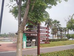 -九龙湖公园