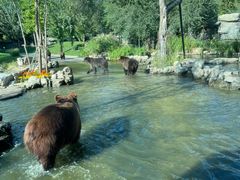 -北京野生动物园