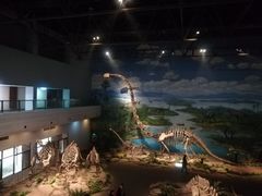 -自贡恐龙博物馆