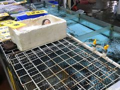 -寻味顺德·南记酒家·传统顺德菜·鱼生(广源路店)