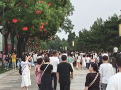 -大雁塔北广场音乐喷泉