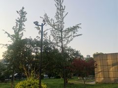 -浙江省中医院(钱塘院区)