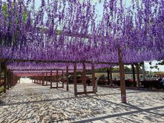 -狼山风景名胜区