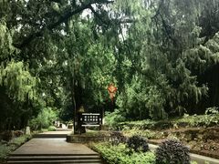 -七曲山风景区