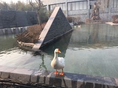 -河北霸州茗汤日月潭温泉