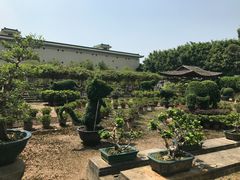 -广东圆玄道观