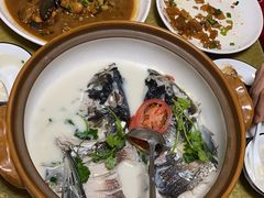 -全乐鱼馆·淳牌有机鱼直营店
