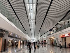 -LV路易威登(大兴国际机场店)