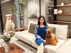 -红星美凯龙(山东全球家居1号店)