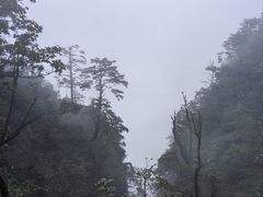 -峨眉山风景名胜区