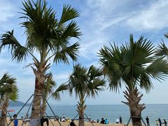 -大梅沙海滨公园