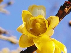 -利群海琴购物广场(商丘路店)