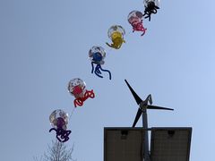 -贵阳市花溪国家城市湿地公园