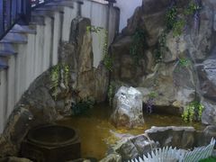 -鸭王烤鸭店(三里河店)