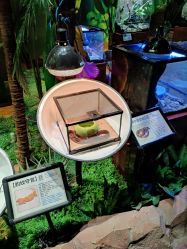 -酷嗒动物文化乐园(cutezoo西溪乐天城店)