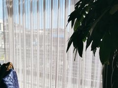 -高老庄新家宴(北斗星广场店)