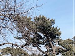 -妙峰山风景名胜区