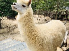 -汕尾铜鼎山旅游区