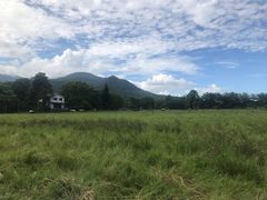 -瑞穗牧场