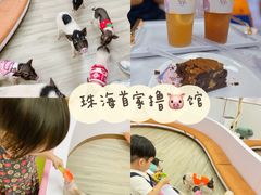 -猪盟咖啡店(玖洲道店)