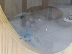 -鼓捣猫呢主题猫咖店