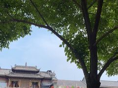 -武汉园博园(武汉自然博物馆)
