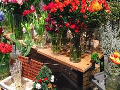 -植物学家的女儿(北马道巷店)