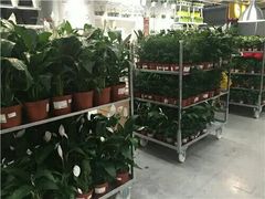 -宜家家居(西安未央商场店)