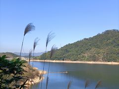 -广州市流溪河国家森林公园