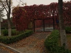 网球场-北京国家会计学院