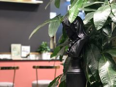 -海马体照相馆|大师(北京华贸中心店)