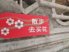 -溪岸路花鸟市场
