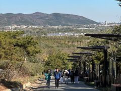 -北京西山国家森林公园