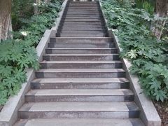 -甘棠公园