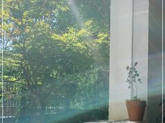 -MAISON门前杂货店
