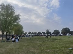 -漕湖湿地公园