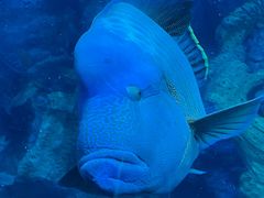 -珠海长隆海洋王国