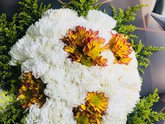 -沪花拾者(好再来花卉鲜花店)