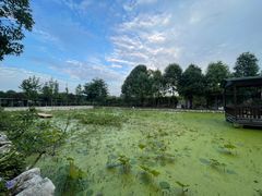 -洪湖家庭农场·团建·露营·会议