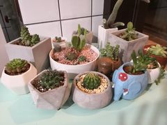 -蜜蜂小象·榴莲千层蛋糕(时代汇11栋店)